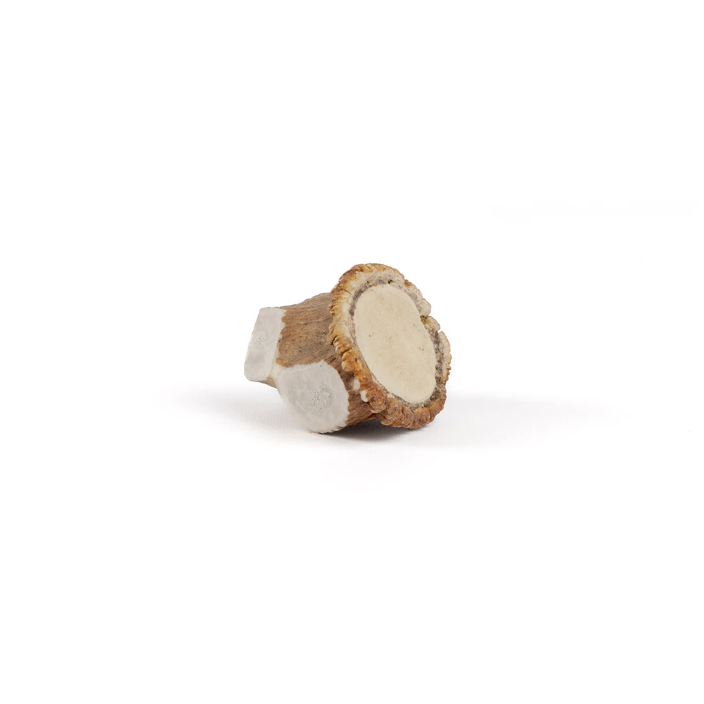 Elk Antler Medallions