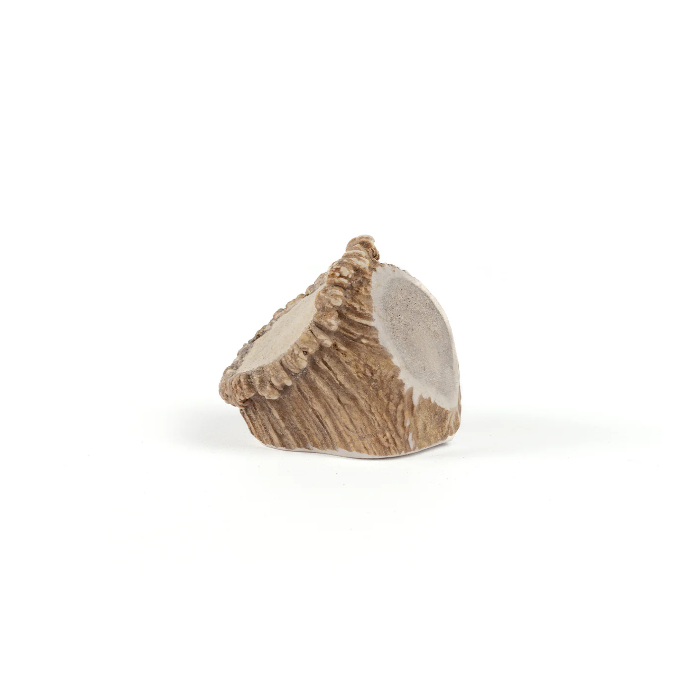 Medallions - Image 10