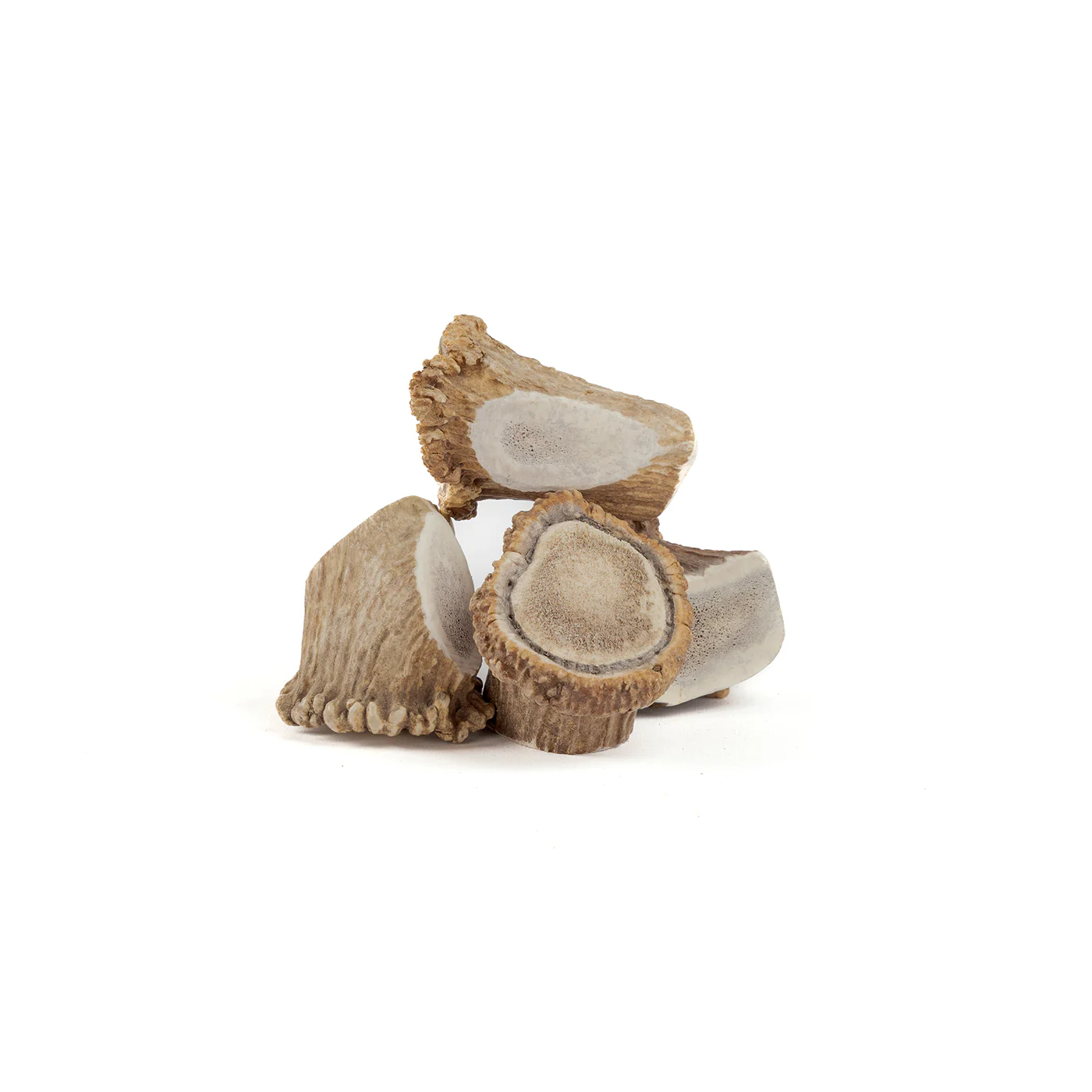 Medallions - Image 5