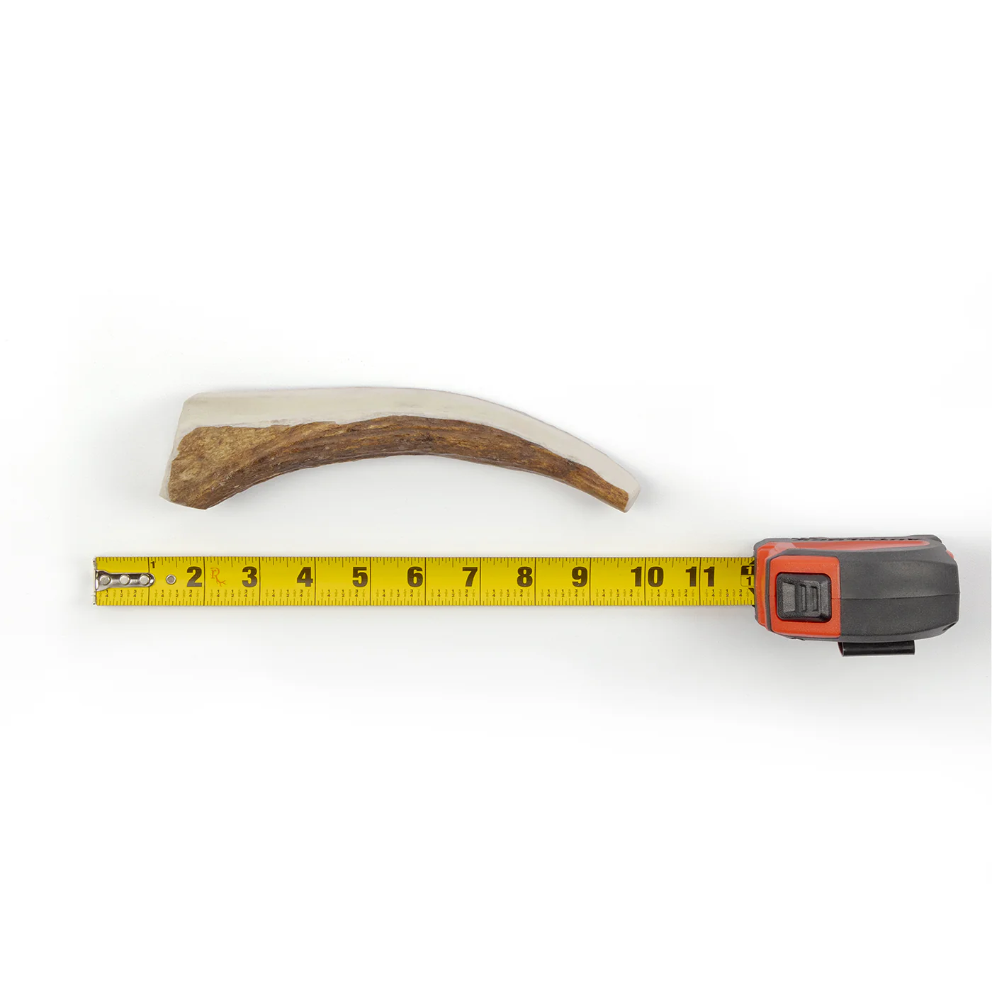 Moose Split - Image 9