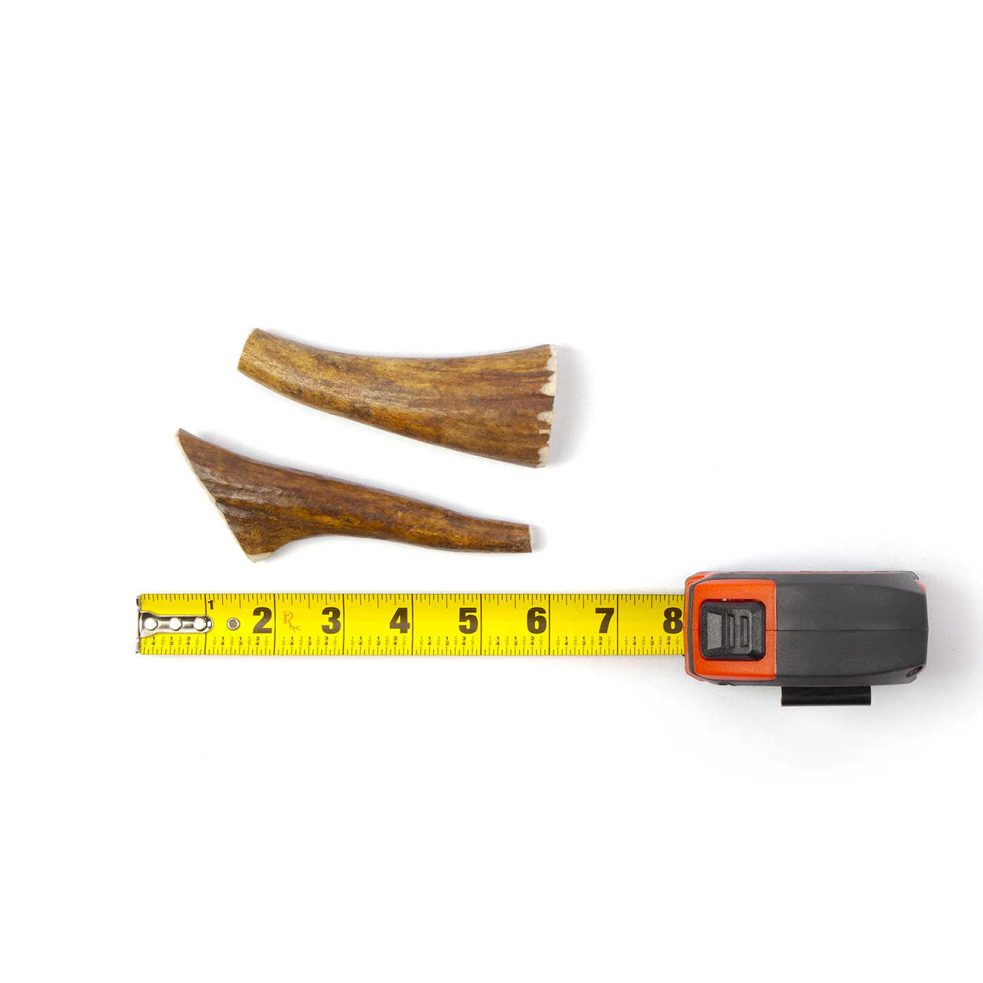 Moose Tine - Image 12