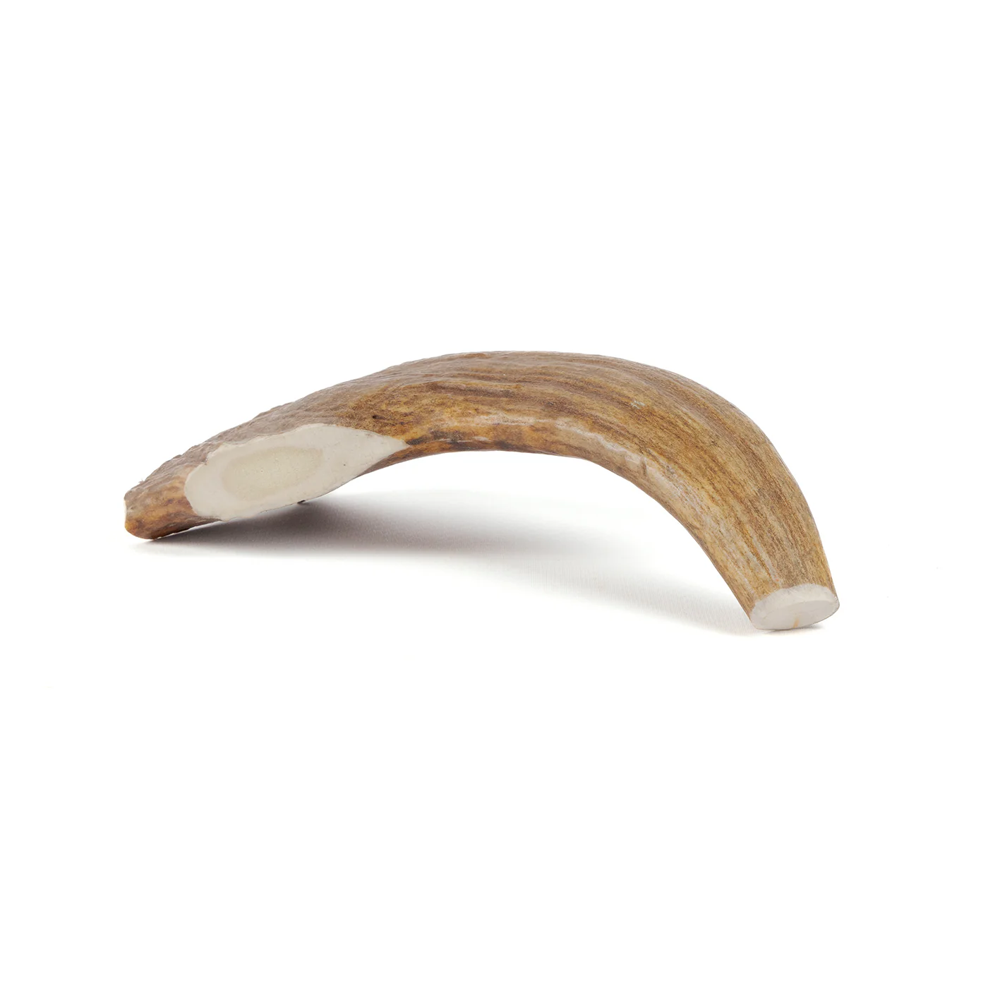 Moose Tine - Image 13