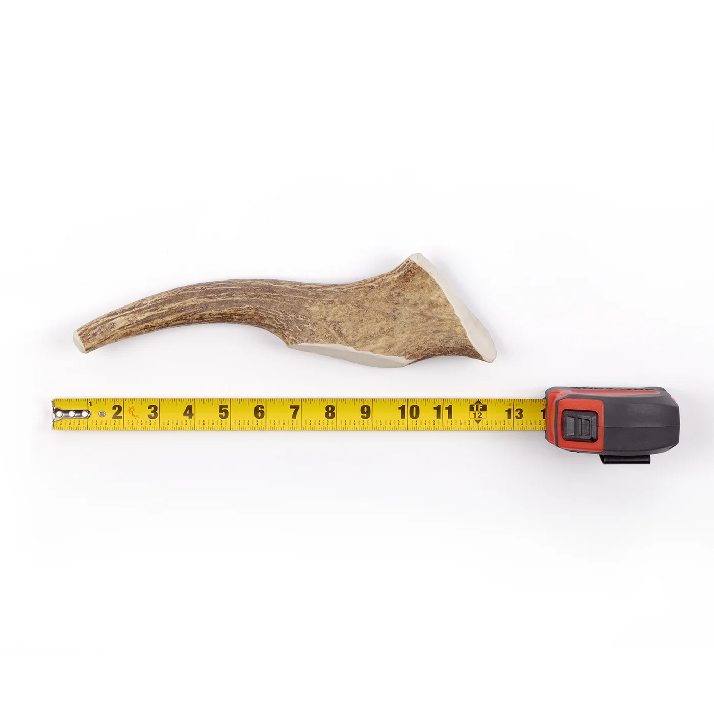 Moose Tine - Image 15