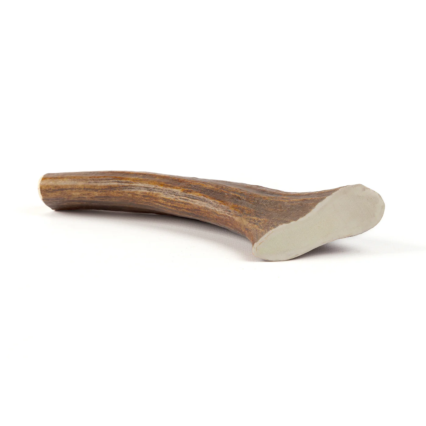 Moose Tine - Image 16
