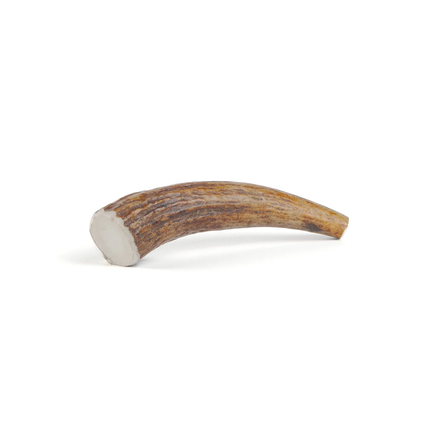 Moose Tine - Image 3