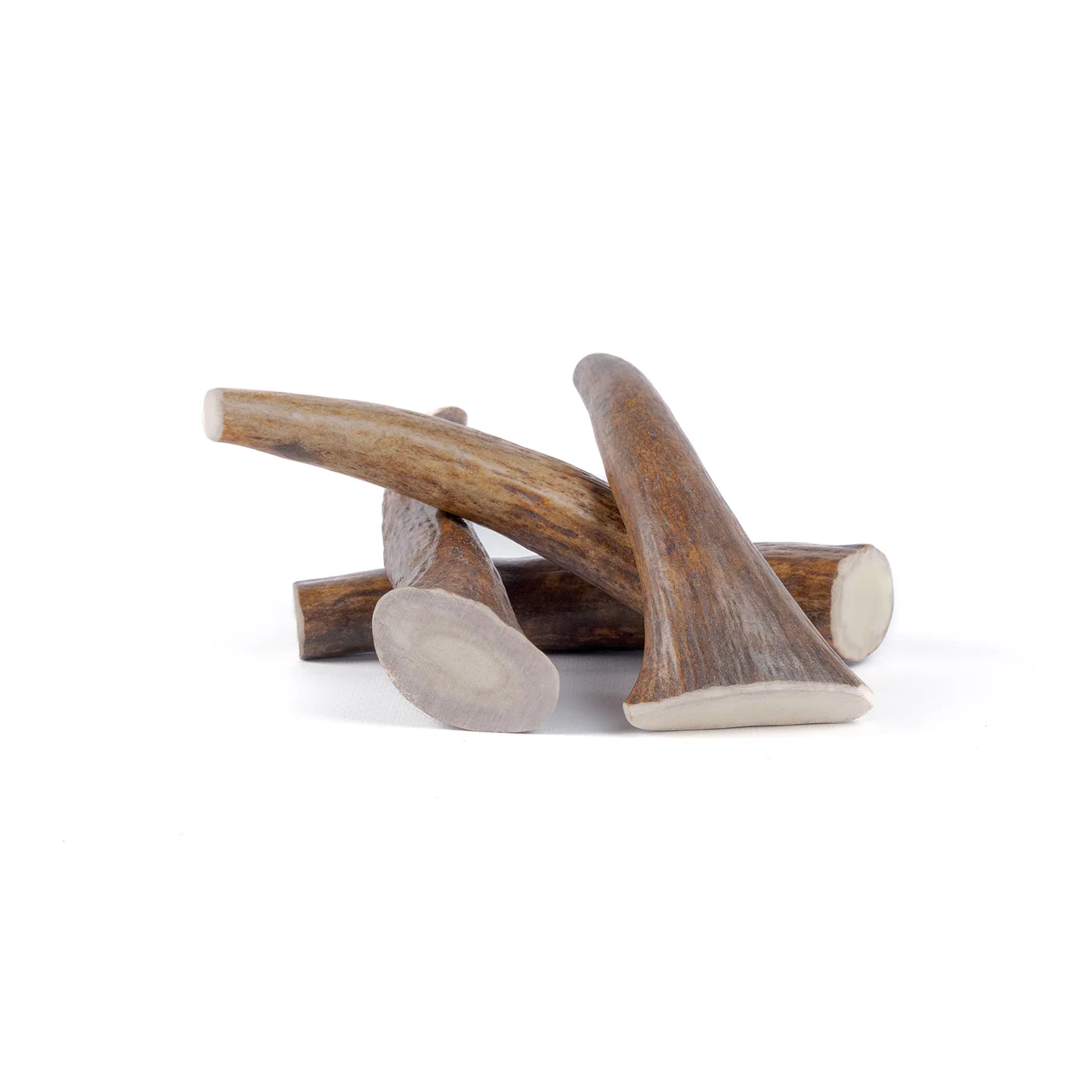 Moose Tine - Image 4