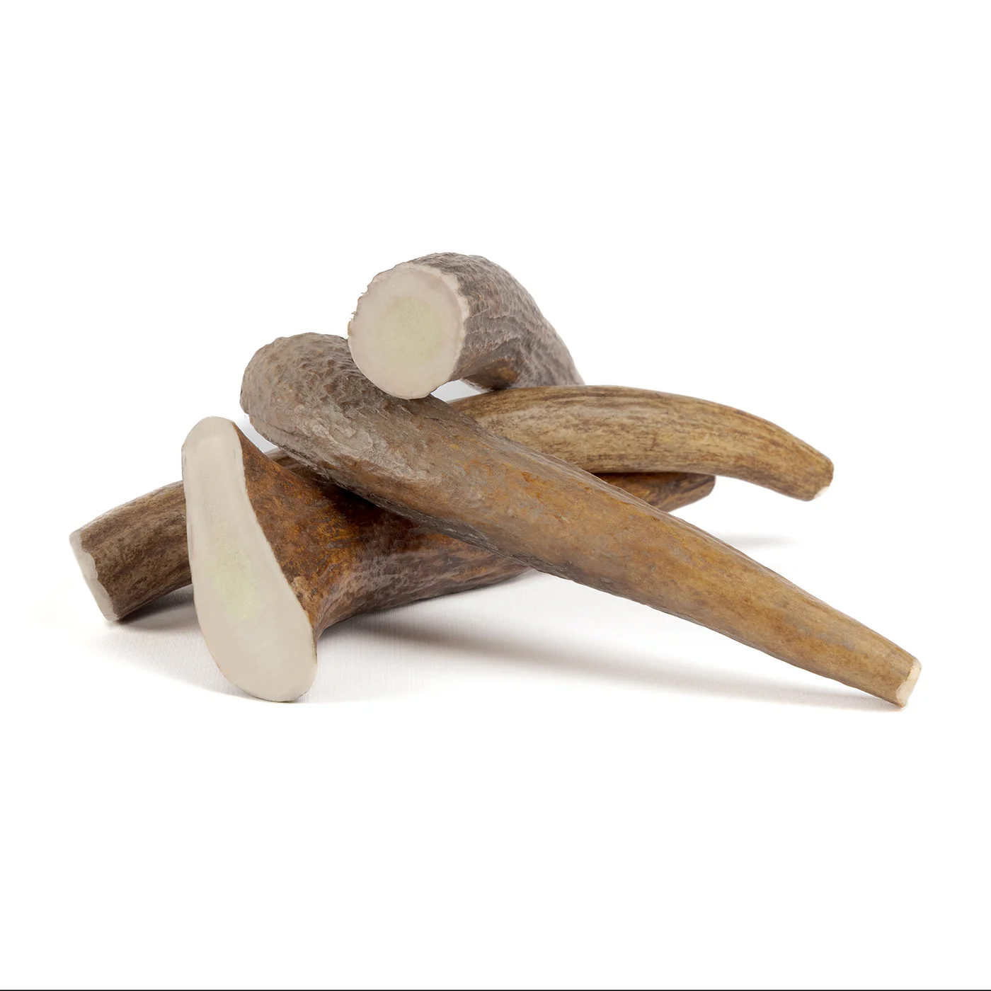 Moose Tine - Image 7