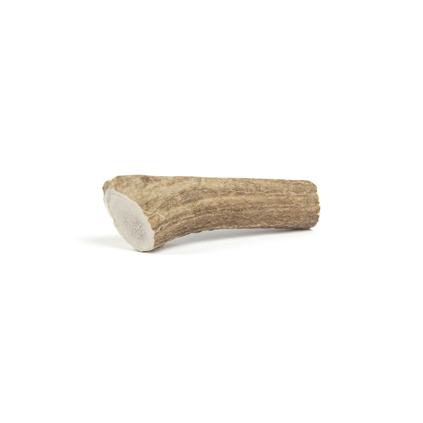 Split Elk Antler - Image 10